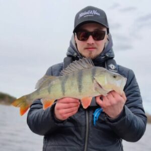 Profile photo of Marcus Gyllberg